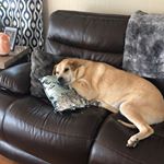 Profile Picture of Maria Mastrati Buttaro (@mastratibuttaro) on Instagram