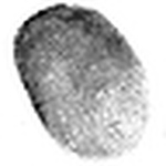 Profile Picture of Sam Sparks (@sam d sparks) on Flickr