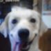 Profile Picture of Bubba Noerring (@bubba.noerring) on Facebook