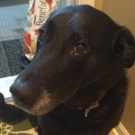 Profile Picture of Aaron Schoen (@amschoen86) on Instagram