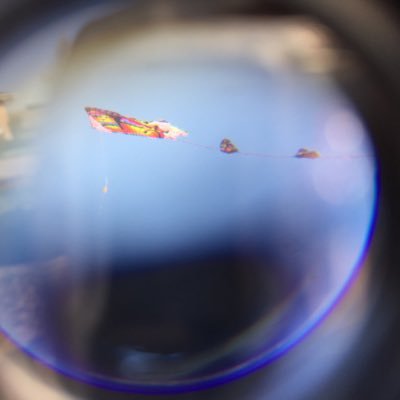 Profile Picture of Mike Valek (@fue_miki) on Twitter
