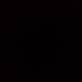 Profile Picture of Dina David (@david_dina) on Instagram