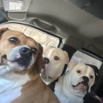 Profile Picture of Brian Ristow (@Brian-Ristow) on Facebook