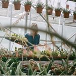 Profile Picture of j e n n e l l (@jennell_lehman) on Instagram