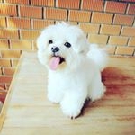 Profile Picture of Namrata subhash mahajan (@namratasubha) on Instagram