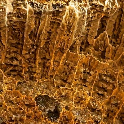 Profile Picture of James Rhea (@jamesrhea4) on Twitter