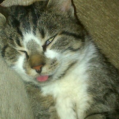 Profile Picture of Brendan Devlin (@brendan_99923) on Twitter