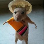 Profile Picture of Julius Gonzalez (@julius_gonzalez1123) on Instagram