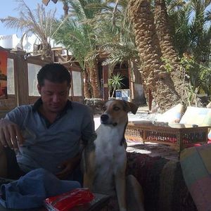 Profile Picture of Mohamed Basuny (@231810080) on Myspace