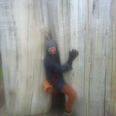 Profile Picture of Hilary Jackson (@hiljackson) on Twitter