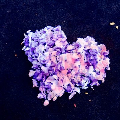 Profile Picture of XIA (@xia_xue75) on Twitter