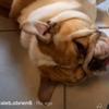 Profile Picture of user1584626756976 (@@caleb.obrien6) on Tiktok