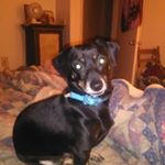 Profile Picture of Kelly Renee Hayes (@kelly.hayes.14418) on Instagram