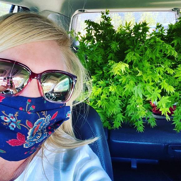 Profile Picture of Cheryl Haseman (@cheryl529h) on Poshmark