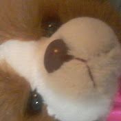 Profile Picture of Casey Rivera (@caseyrivera7485) on Youtube