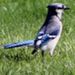 Profile Picture of Lucas Gielarowski (@giela17535) on Pinterest