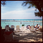 Profile Picture of alice brown (@alicerebeccabrown1995) on Flickr