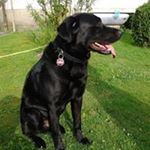 Profile Picture of Thomas Brall (@thomasbrall) on Instagram