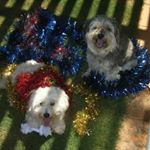 Profile Picture of Berna47 (@bernadette.holmes) on Instagram