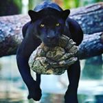 Profile Picture of Jason (@jayrudder24) on Instagram