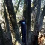 Profile Picture of Chris Mann (@chrisdamann1) on Instagram