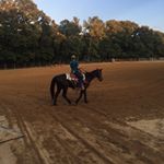 Profile Picture of Cliff Gill (@cliff_gill) on Instagram