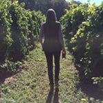 Profile Picture of Lisa Sherry (@_lisherry) on Instagram