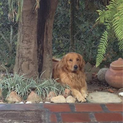 Profile Picture of Francisco_Fasanaro (@eforce77) on Twitter
