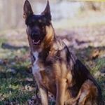 Profile Picture of sissy robertson mccrobie (@sissyrobertsonmccrobie) on Instagram