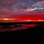 Stewart Thompson - Instagram Profile Picture of Stewart Thompson (@stewartthompson774) on Instagram