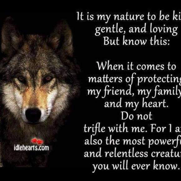 Profile Picture of Steve Booth (@steve_booth) on Poshmark