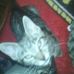 Profile Picture of Charles Traylor (@charles.traylor.75) on Facebook