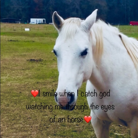 Profile Picture of Ally Cusick (@cusickally) on Poshmark