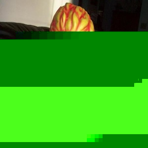 Derek Kaneshige - Myspace Profile Picture of Derek Kaneshige (@got_deek) on Myspace