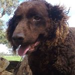 Profile Picture of Thomas McCourt (@thomas.mccourt.376) on Instagram