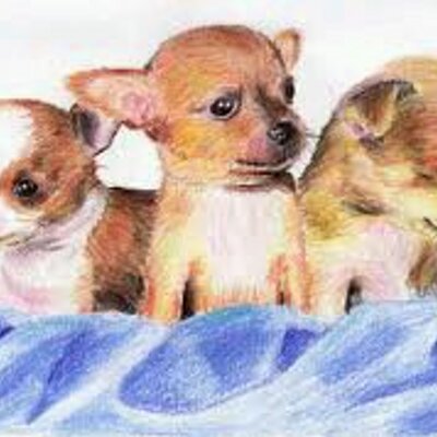 Profile Picture of kate ewald (@EwaldKate) on Twitter