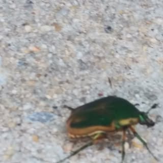 Profile Picture of Eric Midgett (@ericmidgett) on Instagram