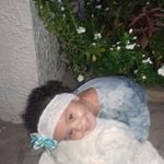 Profile Picture of idaperkins926 (@idaperkins926) on Instagram