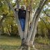 Profile Picture of Tim Potts (@tim.potts.3158) on Facebook