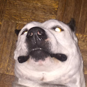 Profile Picture of Javier Tomas (@javiertomas3106) on Youtube