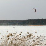 Gartley - Instagram Profile Picture of Gartley (@gartleycibriangc) on Instagram