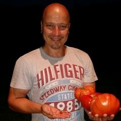 Profile Picture of Robert Erman (@roberterman) on Tiktok