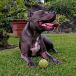 Profile Picture of Mario Terrazas (@mariotgi) on Instagram