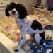 Profile Picture of Terri Andrews (@cre8ifteacher) on Pinterest