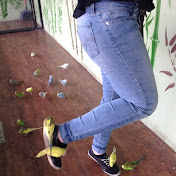 Profile Picture of Taylor Perreault (@taylorperreault4952) on Youtube