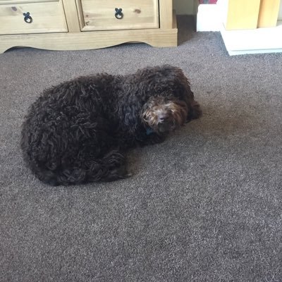 Profile Picture of Matthew Blizzard (@mattblizz04) on Twitter