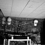 Profile Picture of James Tober (@james.tober.760089) on Facebook