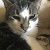 Profile Picture of Lori Z Joslyn (@lorizjoslyn) on Pinterest