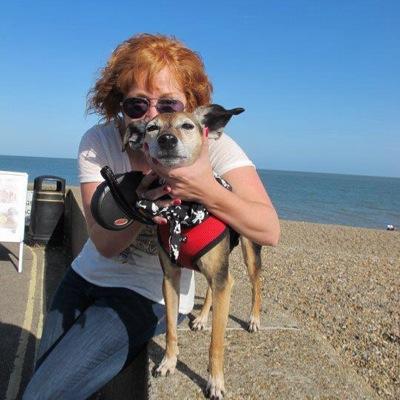 Profile Picture of Shelley Garland (@GreatAuntJudy) on Twitter