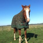 Profile Picture of Amelia Hatherall (@amelia.hatherall219) on Instagram